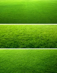 Crédence de cuisine en verre imprimé Printemps Green grass backgrounds