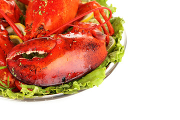 Red lobster on platter with vegetables isolated on white