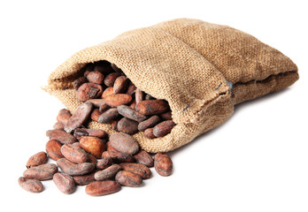 Cocoa beans in bag isolated on white