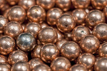 BeeBee's close-up in a pile