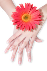 beautiful hands with daisy