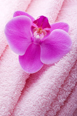 Naklejka na ściany i meble luxury wellness towel with pink orchid flower