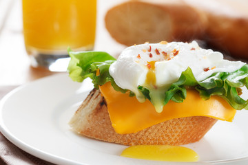 Poached egg on toast with salad and cheese