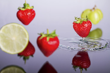 Floating fruits above the water surface.