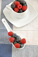 Heidelbeeren und Himbeeren