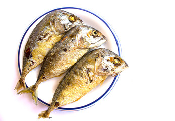 mackerel fried