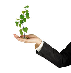 Investing to green business