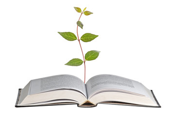 Sapling growing from book