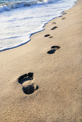 beach, wave and footsteps at sunset time