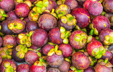 Mangosteen