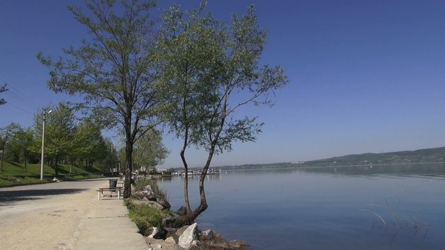 View of the lake coast in calm, windless weather