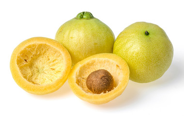 Syzygium jambos rose apple