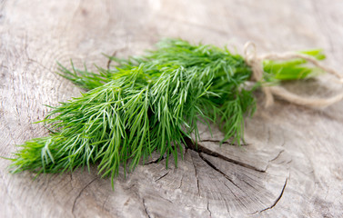 Fresh dill on wooden table