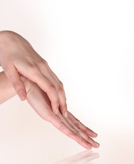 Beautiful woman hands isolated on a white background