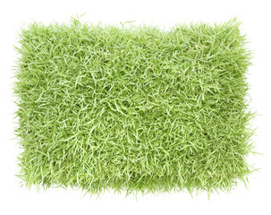 grass