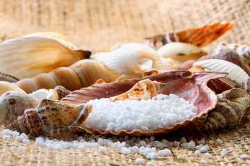 Spa background with sea salt and shells