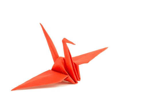 Bird in origami