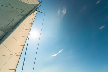 Fototapeta premium Sail of a sailing boat