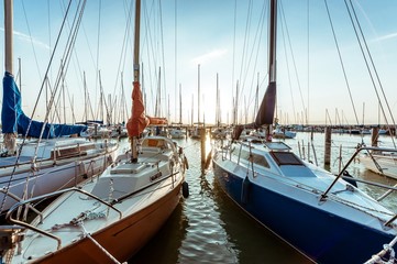 Fototapeta premium Sailing boats in the harbor