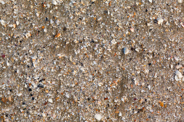 background of sand shells and starfish