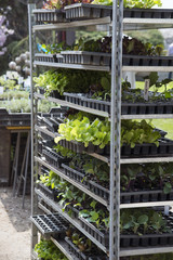 Gemüsepflanzencontainer