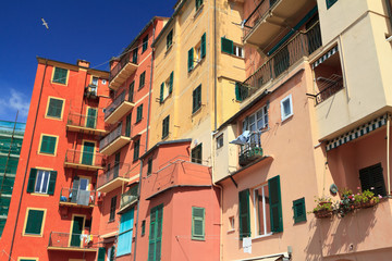 Fototapeta na wymiar domów w Camogli