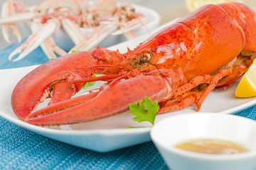 Lobster, browned butter and lemon wedges. Langoustines on the BG