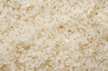 白米の背景素材