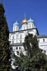 Fototapeta na wymiar Novospassky monastery in Moscow.