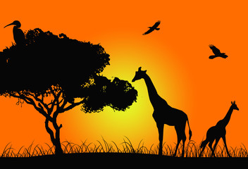 African sunset illustration with animal silhouettes