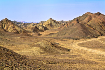 Sahara