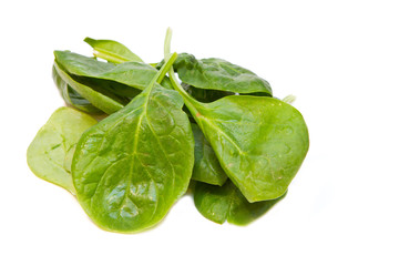 fresh spinach leaves on a white background