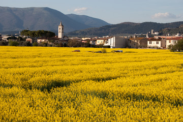 Calenzano e San Niccolò
