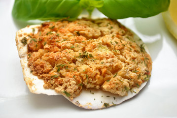 Stuffed Scallop Shell Appetizer