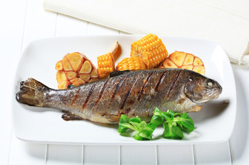 Grilled trout