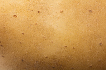 fresh potatoes in the background. macro