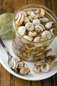 Snails on glass.