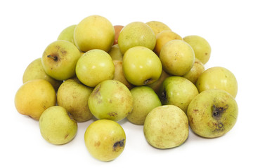 monkey apple fruit