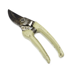 gardening secateurs for cutting branches