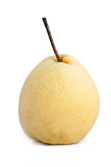 Chinese pear