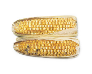 rotten corn