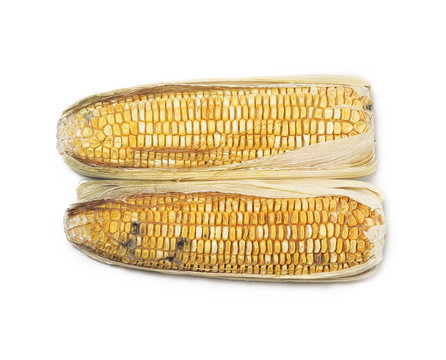 Rotten Corn