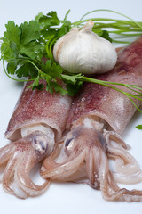 calamari con aglio e prezzemolo