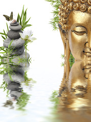 Fototapeta premium reflets de Bouddha