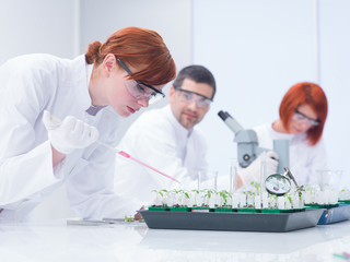 students experimental studies