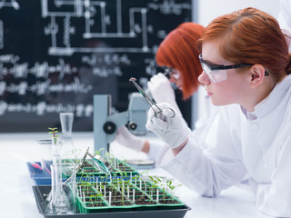 student analyzing in a chemistry lab