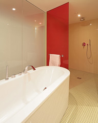 Design Badewanne, Dusche und Duschwand