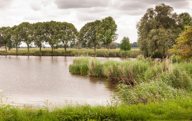 Natural pond fringed with reeds and trees