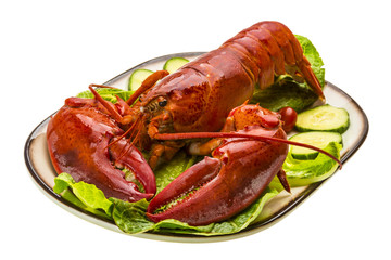 Large Lobster