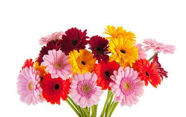 Bouquet Gerber flowers